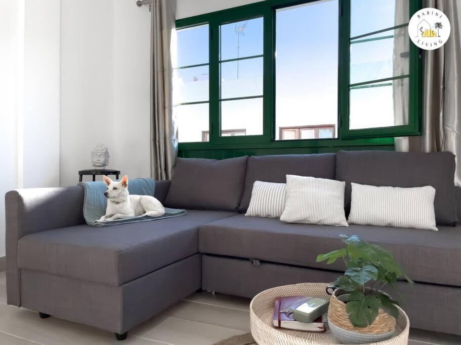 Casa Alicia Central Town By Babiniliving 코라레호 외부 사진
